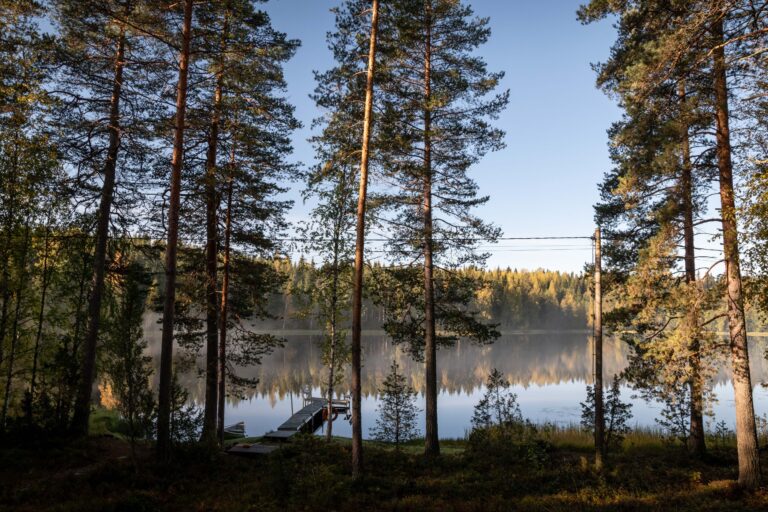 Suomen järvet kiinnostavat matkailijoita enemmän kuin uskommekaan – ongelma on yllättävä