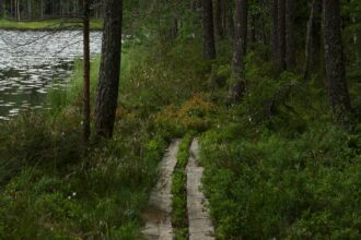 Kesäyön tunnelmaa Suomen luonnossa Juhannuksena