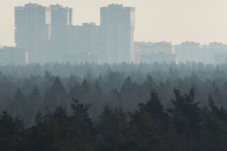 Jo 20 minuutin kävely metsässä muuttaa kehon stressitilaa. Kuvituskuva