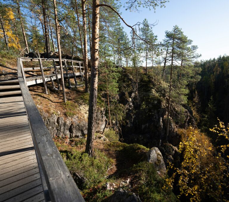 Kuva Oulangan kansallispuistosta. Kuvituskuva.