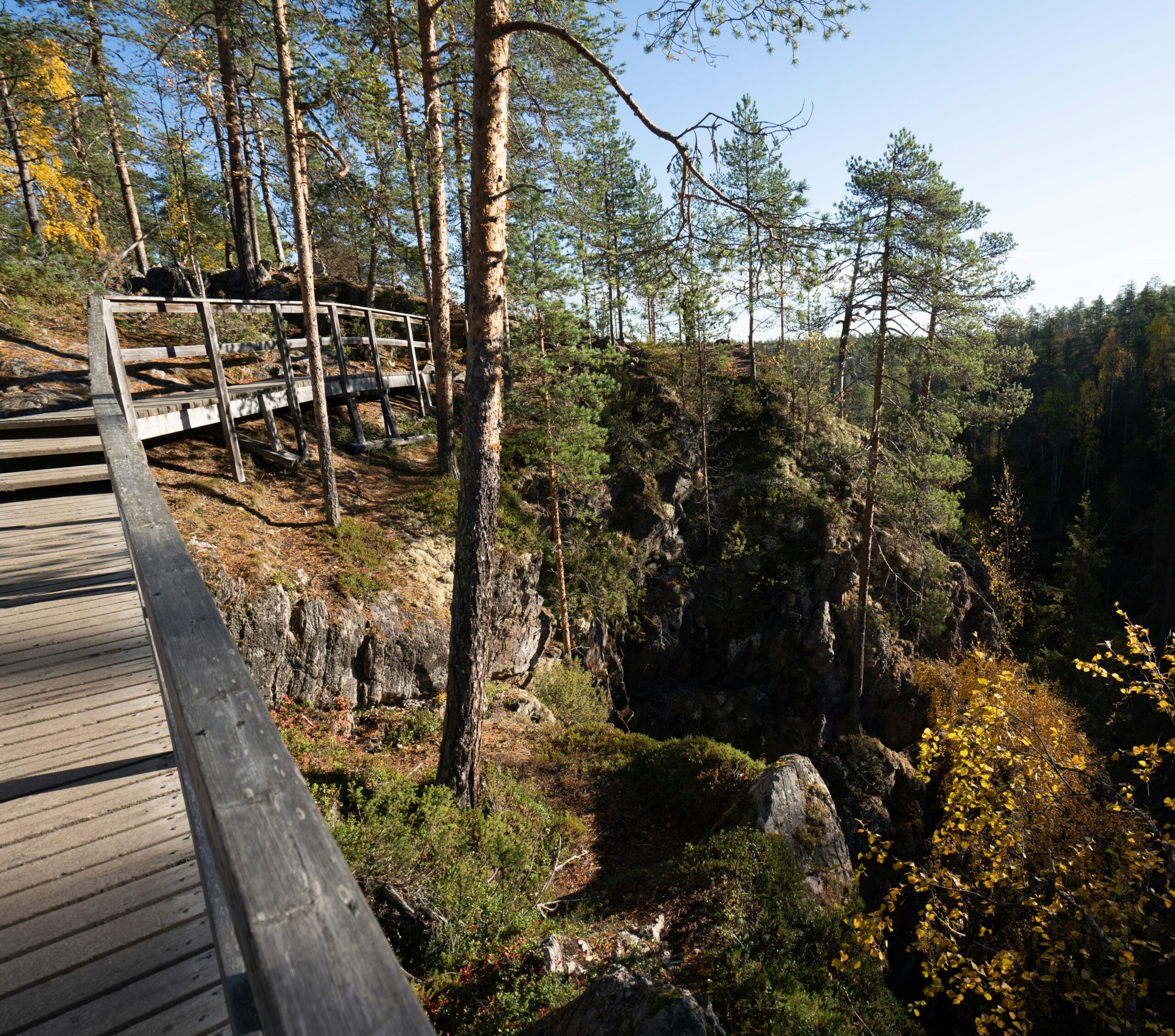 Kuva Oulangan kansallispuistosta. Kuvituskuva.