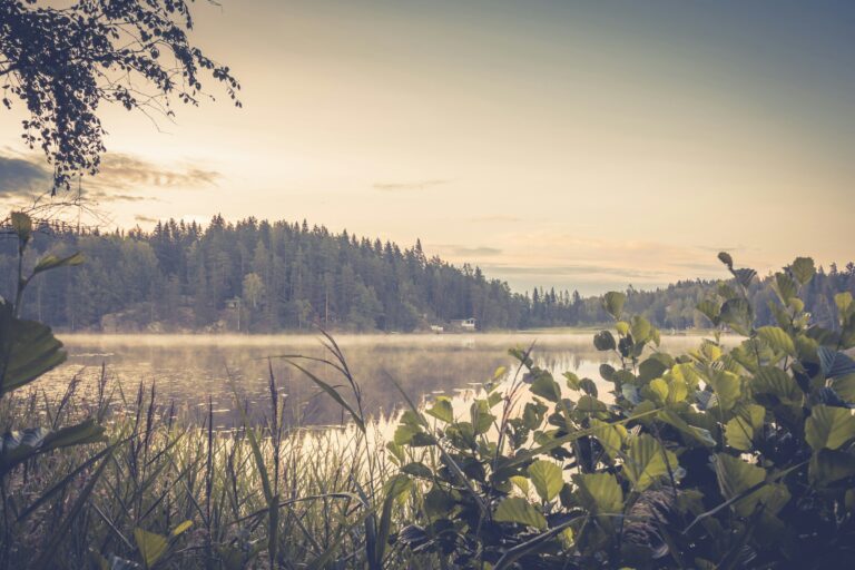 Suomalainen autereinen järvimaisema aikaisin aamulla kun aurinko on vasta nousemassa