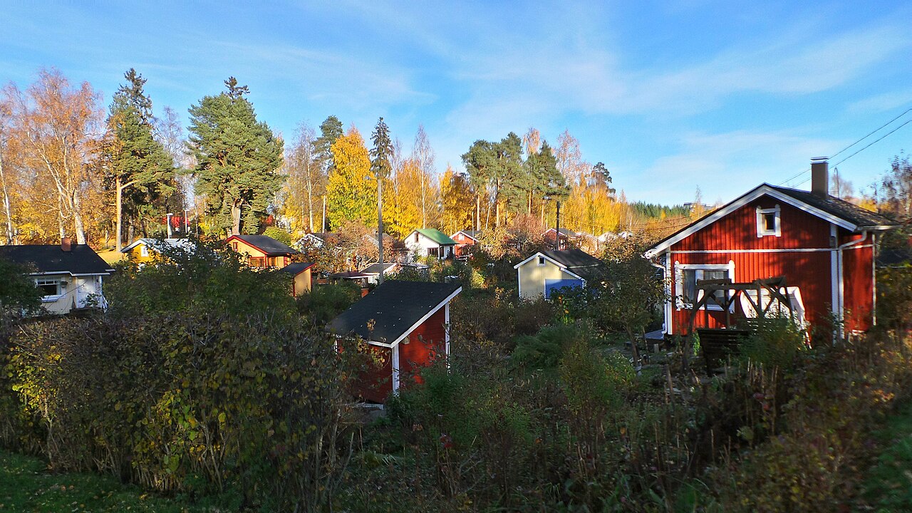 Vehreää Litukan siirtolapuutarha-aluetta Tampereella.